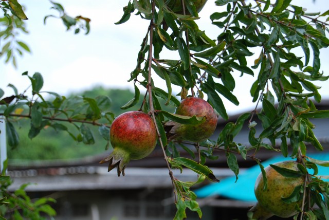 เนตล้มเซงเลยครับ :love: :love: