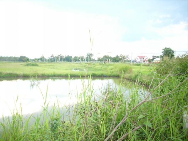 หมายสวยๆทั้งนั้นครับแต่ตกปลาได้ :laughing: :laughing: :laughing: