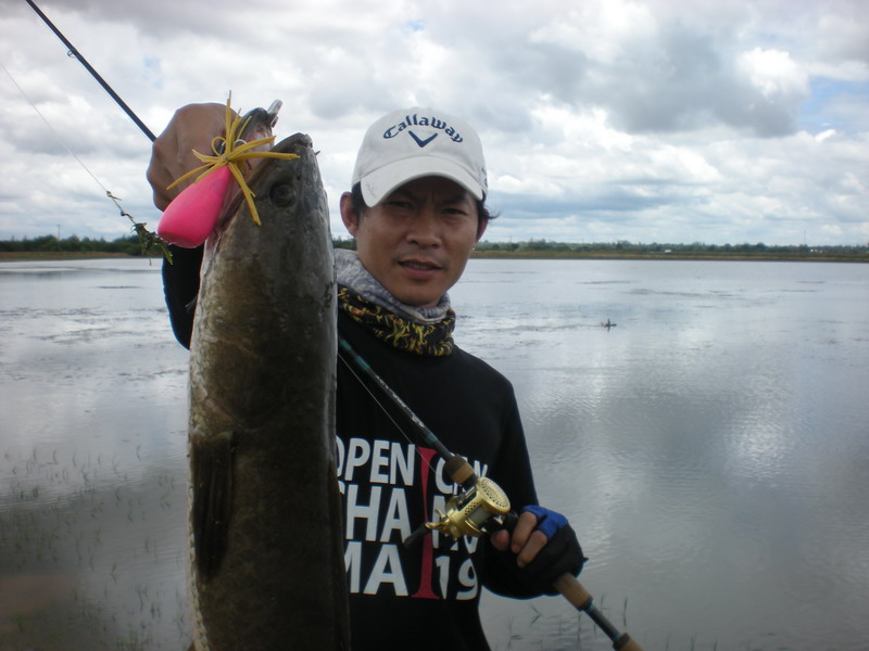 อีกรูปๆ.....และอีกหลายๆ รูปเน้อ กรั้กๆ  :laughing: :laughing: 