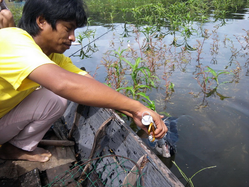 คืนครับ ลูกรอข้างเรือเลย :cool: