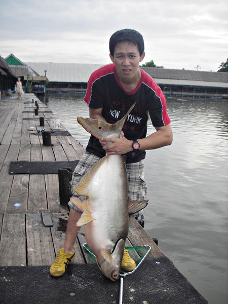         ข้องใจ...ขออีกรูปซิ...มันเล็กลงกว่าเดิมอีก
ดูสีหน้าคนยกซิ...จบแล้วคร๊าบ...ด้วยความงง...

