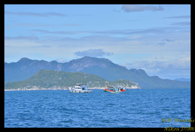 ปลาพักหยุดกินช่วงน้ำแรง

เลยมาดูว่ารอบๆเรือเรามีเรือใครบ้าง

 :smile: :smile: :smile: :smile: :s