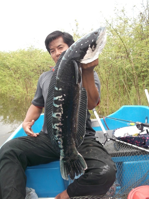 +++เจิมเรือด้วยของใหญ่สมใจไปเลยยยยยย+++++ :grin: :grin: :grin: :grin: :grin: :grin: :grin: :grin: :g