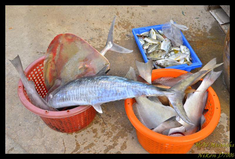 สวัสดีครับน้าMUM ไปเรือใครครับ
----------------------------------------------------
ลากันด้วยภาพนี