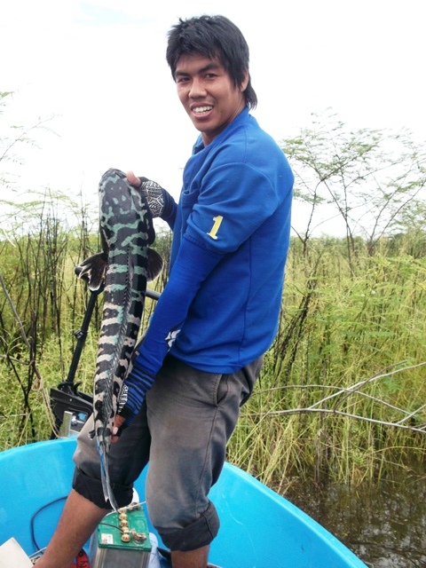 ++++ภาพที่4++++ :grin: :grin: