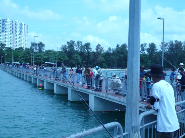กำลังตกกันมันเลย ที่สะพานในสวนสาธารณะอี๊ดโคส