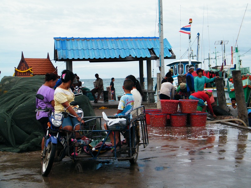 ผลงานของเรืออวน...ใน1วัน ออกล้อม 3 - 5 ครั้ง... :cheer: :cheer: :cheer: :cheer:
