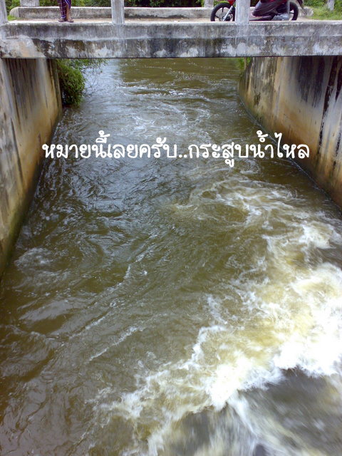 กะสูบ...กะพงแดง...โด๋...นราธิวาส..ก็มีนะครับ..