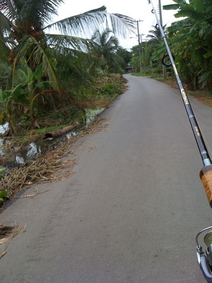 ไปเร่อย ๆครับ   :laughing: