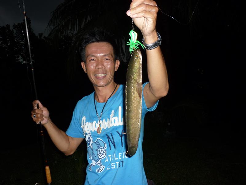 ตัวแรกในชีวิตที่ได้ด้วยเดินกบ โห....ดีใจหยั่งกะถูกล๊อตเตอรี่   :smile: