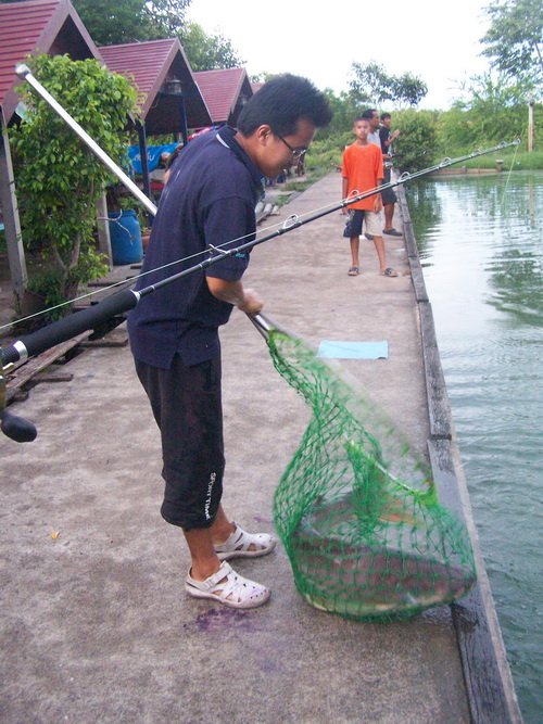 ขอบคุณน้าเอก...ช่วยตักปลา..ครับ.. :grin: :grin: :grin: