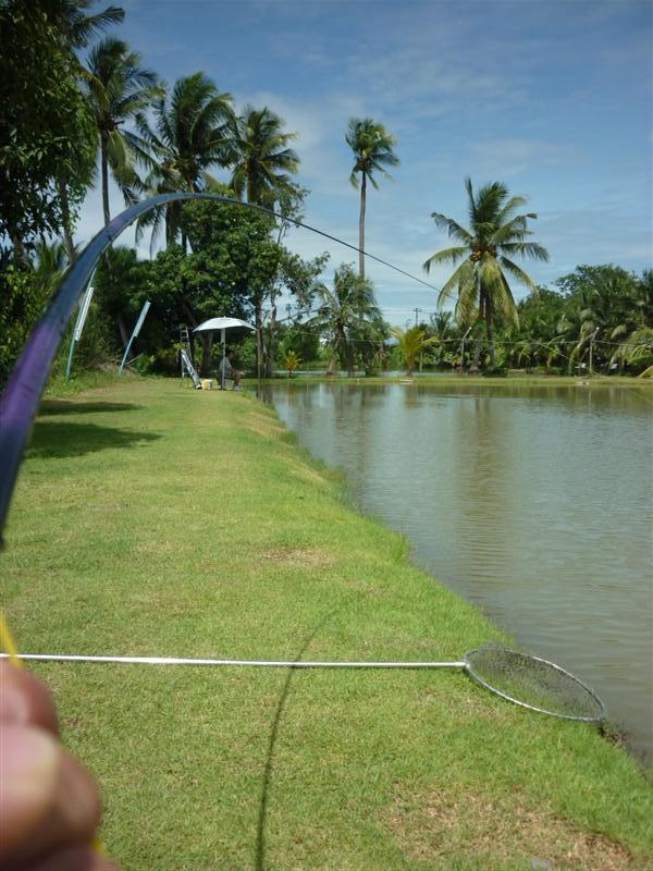 ภาพสู้แบบน้ำกระจาย จึงยังไม่ค่อยได้ภาพมาครับ 