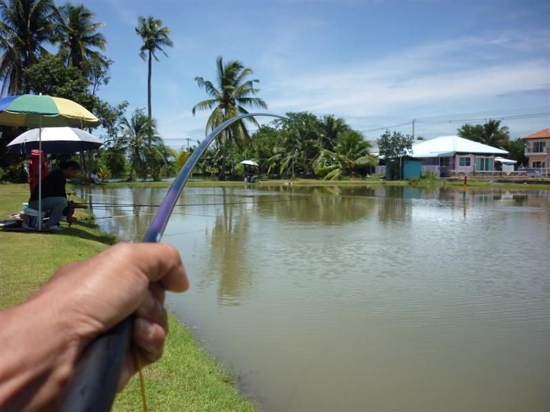 มันเมื่อยข้อมือตรงต้องสู้มือเดียวแล้วจับจังหวะถ่ายภาพมือนึง  มันยังไม่ชินครับ :laughing: