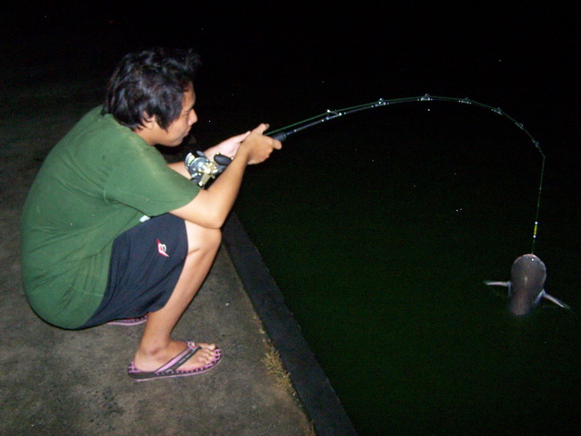 ปลาสวายน้อย..+1...หน่วย.. :laughing: :laughing: :laughing: