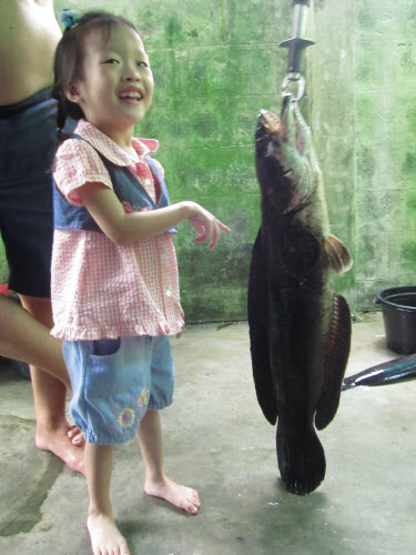 พอคุ้น ๆ กัน เริ่มเข้ามาใกล้หน่อย จับถ่ายได้   สังเกตุหางยังอยู่พอดีพื้น