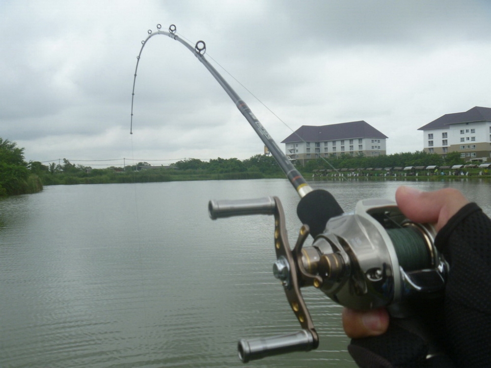 4. จะ Set hook ตอนไหนดีหนอ
- ต้องลวงหลอกให้ปลาพาเหยื่อออกไป 
โดยที่ไม่ทันรู้สึกถึงอันตรายที่เกิดขึ