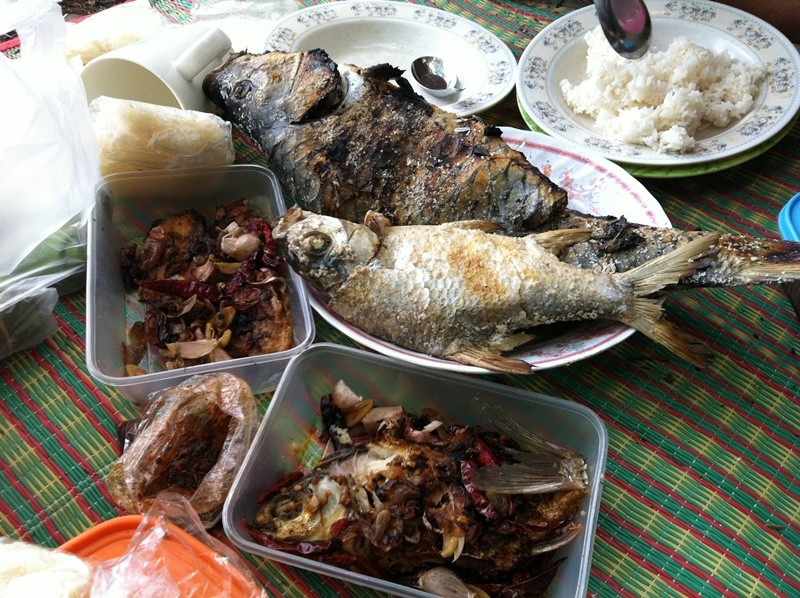 [center][b]ปลาสดๆ ทำอะไรก็อร่อย "ข้าวป่า" มื้อเที่ยงแสนอร่อยไม่แพ้ภัตตาคารหรูๆ แน่นอนค่ะ

 :umh: