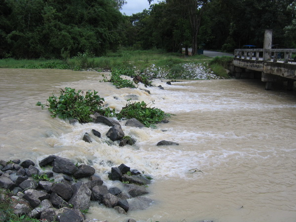 ในวันที่ฝนตกพรำๆ....ไปหาปลามาทำกับข้าวดีกว่า