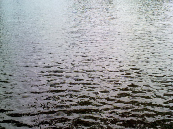 วัดเว่าเหมือนกันครับ 2 ที ไม่ติดเลย ลองใหม่ๆ :smile: พอฝนหยุด ลมมาอีก อารายว้า.......... :frown:
