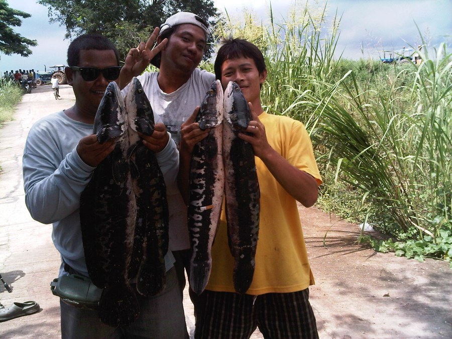 ขอ นิด นึง ไม่ค่อยได้เอาหน้า เข้ากล้องเลย :grin: :grin: :grin: