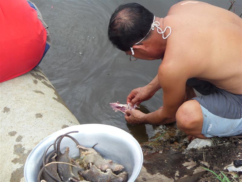 ทำการชำแหละที่คลองหน้าบ้านสะดวกดี