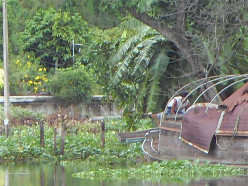 มองไปที่เรือเห็นน้าเขากำลังเยอปลาอยู่  ให้น้องวิ่งไปดู เป็นปลายี่สก โลกว่า