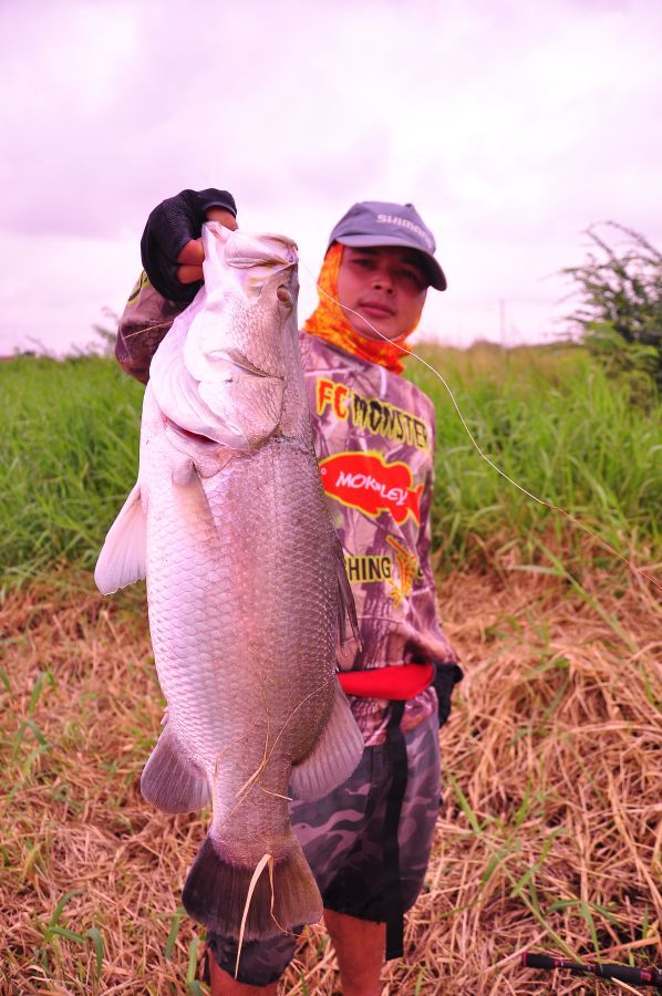 [q][i]อ้างถึง: จิตร posted: 13-09-2554, 09:31:11[/i]

เสียดายติดงาน :umh: :umh: :umh: :umh: :umh: 