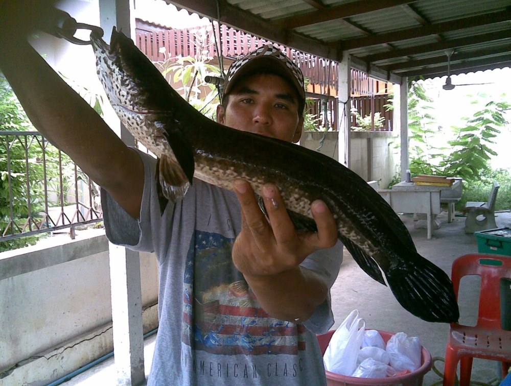 กลับมาผมอาบน้ำเสร็จ  ให้แฟนถ่ายให้อีกทีตัวเต็มๆ
 :grin: :grin: :grin: