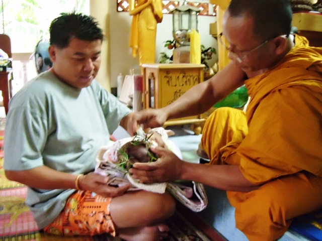 หลวงพ่อ เริ่มลงมือแล้ว เจ้าตี๋น้อยก็หลับซะดื้อๆ เลยครับ :grin: :grin: :grin: :grin: :grin: :grin: