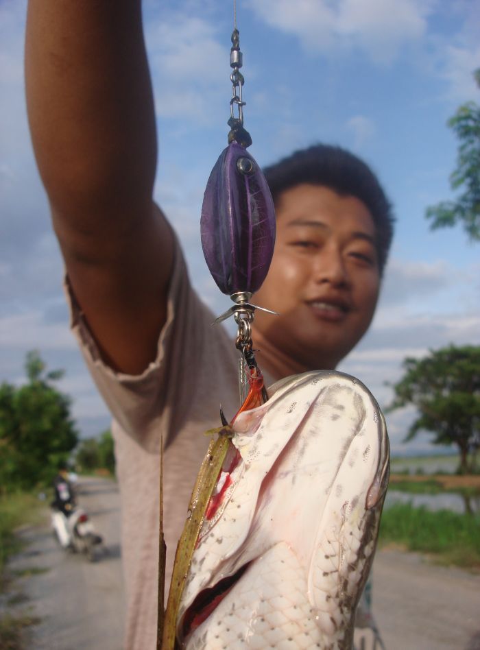 ความสนุกของเบ็ดตัวเดียวองศามีโอกาศพลิกติดได้ทุกมุม360องศาเราสนุกกับเบ็ดตัวเดียวที่แตกต่างเบ็ด2ทางไปค