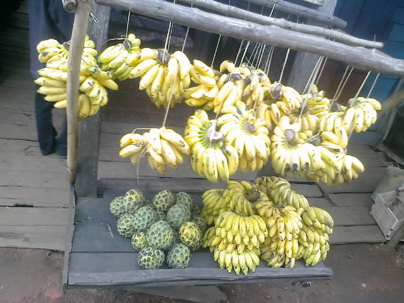 กล้วยๆๆๆ ที่นี้มีกล้วยเยอะครับตลอดสองฝั่ง ที่รถผ่านมามีกล้วยให้เห็นตลอดทาง ครับแล้วก็มีผลไม้ชนิดอื่น