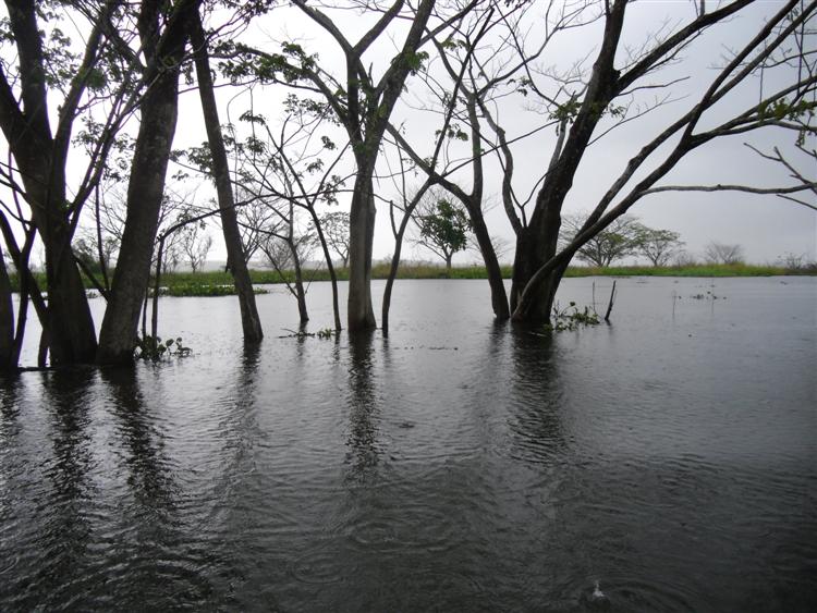 หลังจากที่รอฝนตกไม่นาน...กับเวลาทั้งวันที่พวกเรายังมีอีกเหลือเฟือ..ทำให้ผมมีเวลาอีกนานหลายชั่วโมงในก