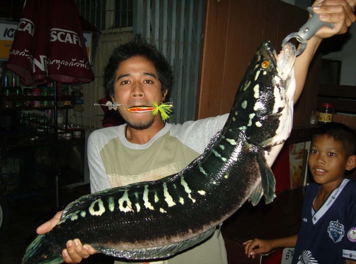  :laughing: :laughing: :laughingโดยทีมงานปลาจิบบุรีรัมย์ :laughing: :laughing: :laughing: