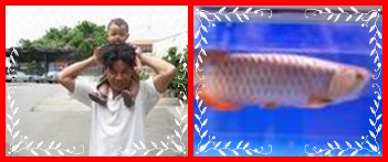 สวัสดีครับน้า naksit-20             :cheer:


สวัสดีครับน้า ncn                :cheer: