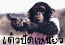 สวัสดีครับน้า 2-Speed   ที่ดินขายได้ยังครับ   :grin:
