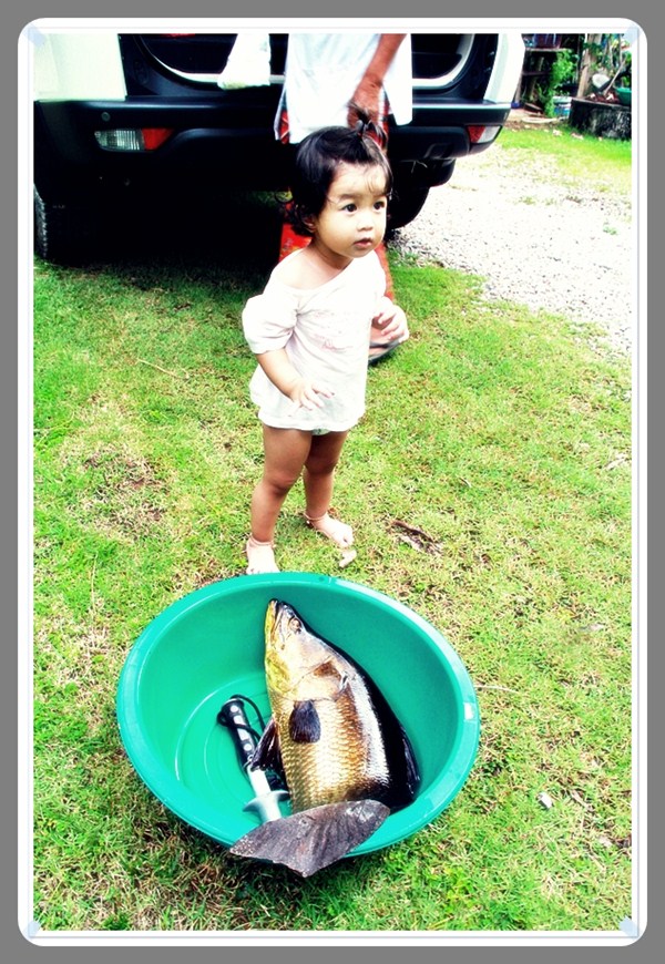 


 
   
 [b]ภาคที่ 2 ..........  7 วันถัดมา   


  ลูกสาวเริ่มคุ้นเคย ....... ไม่ร้องแล้วคร