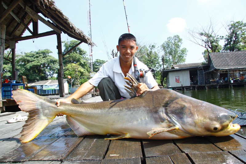 ตัวนี้ได้เมื่อ 20พ.ย.53 เวลา 11.58น. :grin: