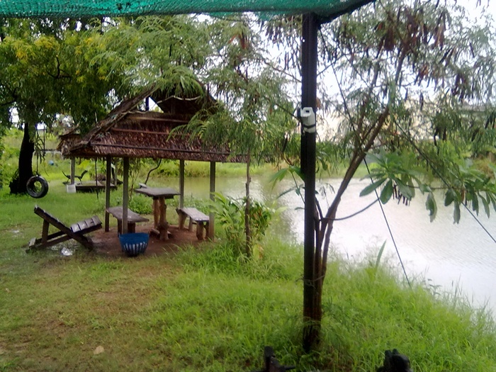 บรรยากาศรอบๆบ่อครับ 