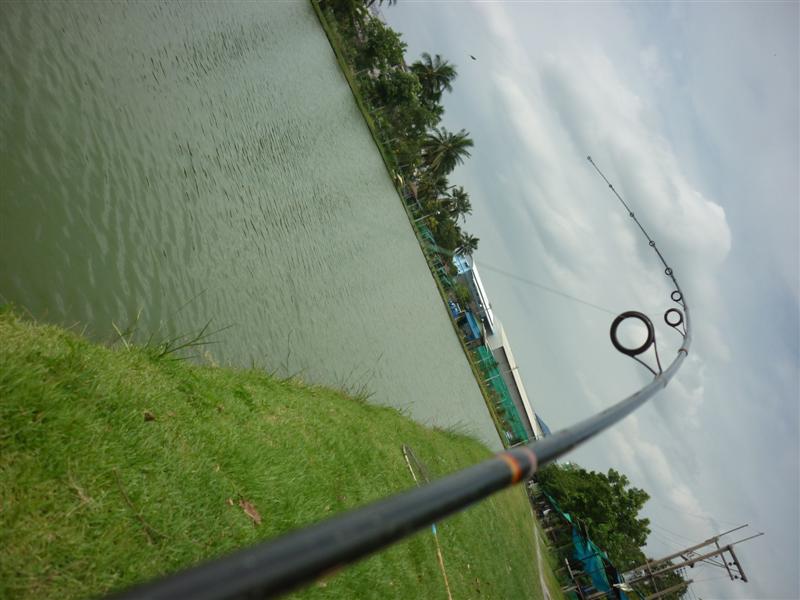 เดินจูงออกจากร่มไปขวาครับ