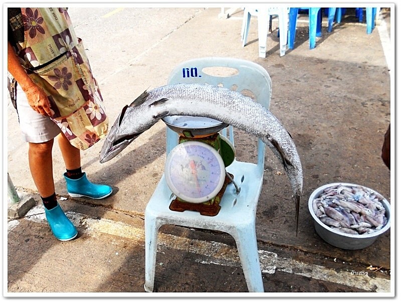  [b]เรือจอดเทียบท่าที่ท่าล่าง แต่เรานัดไต๋ไว้ที่ท่าบน ต้องนั่งสกายแล็ปต่อมารอไต๋อ่อนที่ท่าบน เจอไอ้ส