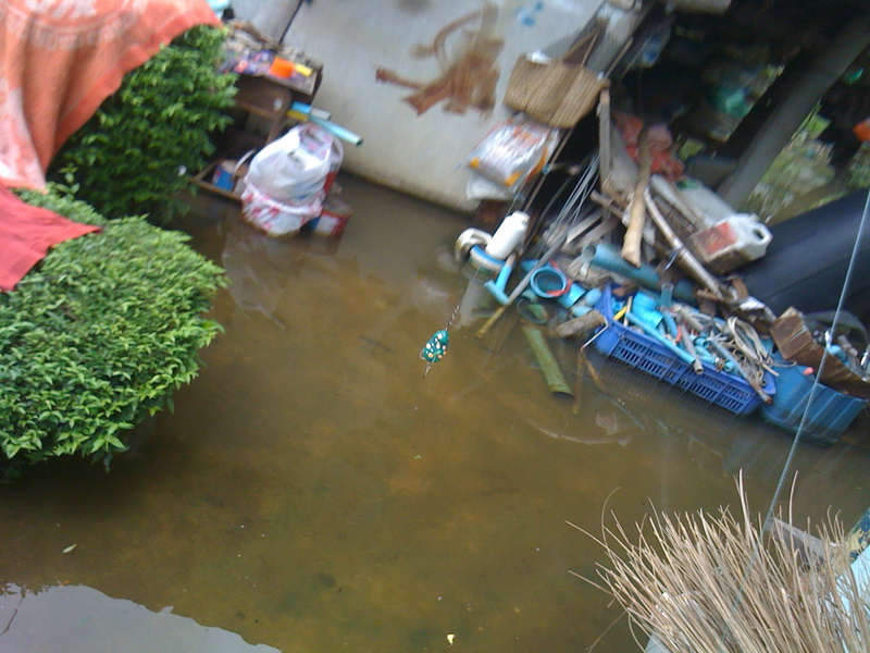 แล้วก็เดินวนรอบบ้านครับ  :grin: