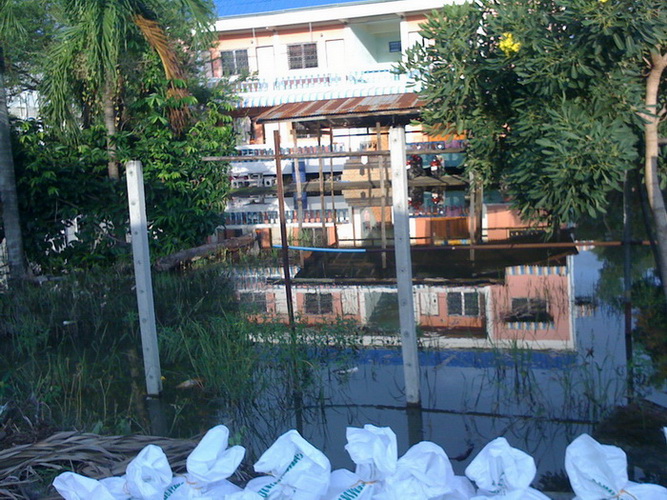 ท่วมหมดกันโรงรถเขา  :laughing: :laughing: :laughing:
ปลานิลเยอะมากครับ เด่วจะตกมาฝากครับ  :grin: :g
