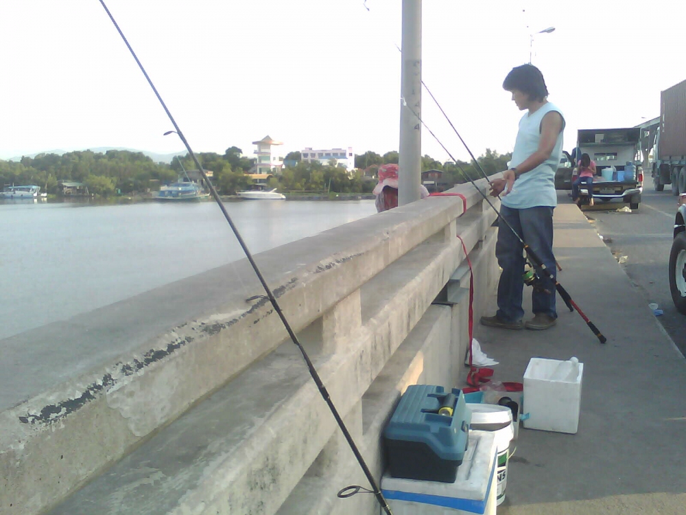 ภาพบนสะพานบางปะกง"บางนาชลบุลี" เซียนโก๊ะได้มาแล้วครับหางกิ่วพอดีโทรศัพแฮงก่อนไม่ได้ถ่ายตอนได้ปลา