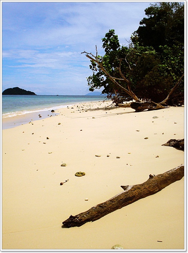 [q]อ้างถึง: Al3solute posted: 07-09-2554, 20:08:28

ภาพสวยครับ ตามชมครับน้า :grin: :grin: :grin: :