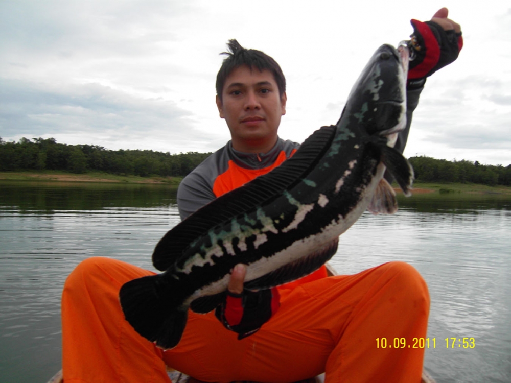 เก็บภาพเหมือนเคยๆ