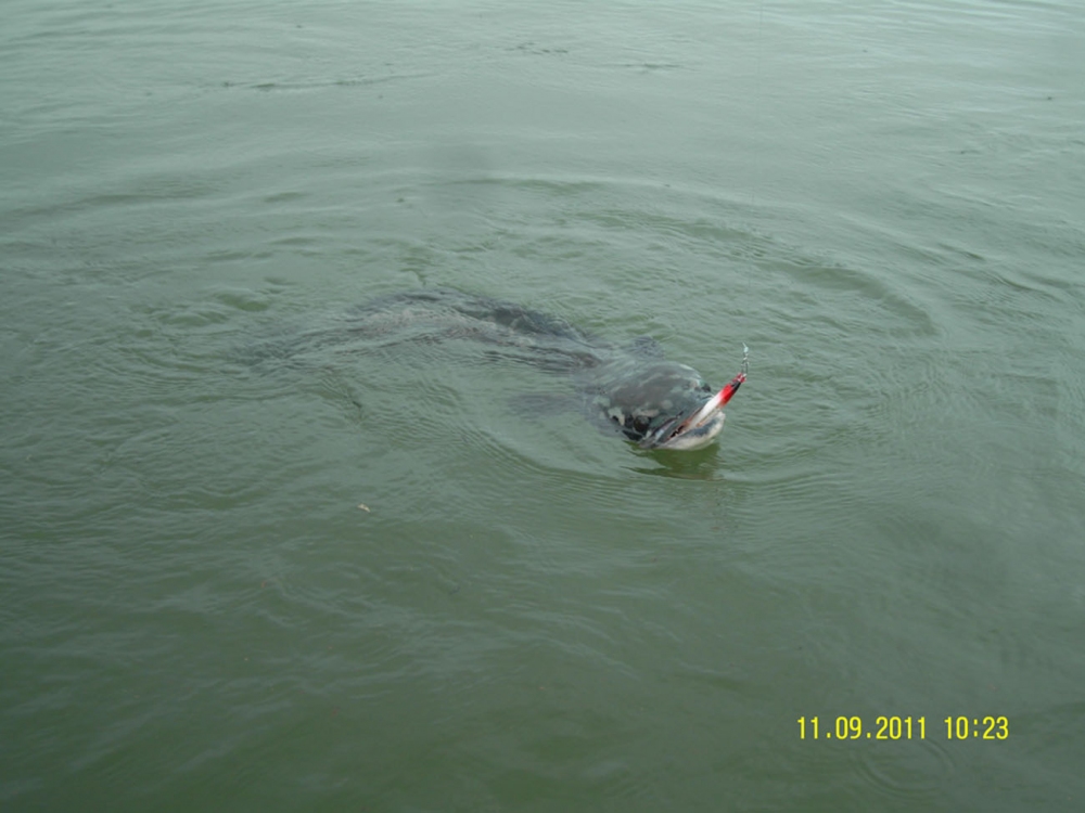  :cool: :cool: :cool: