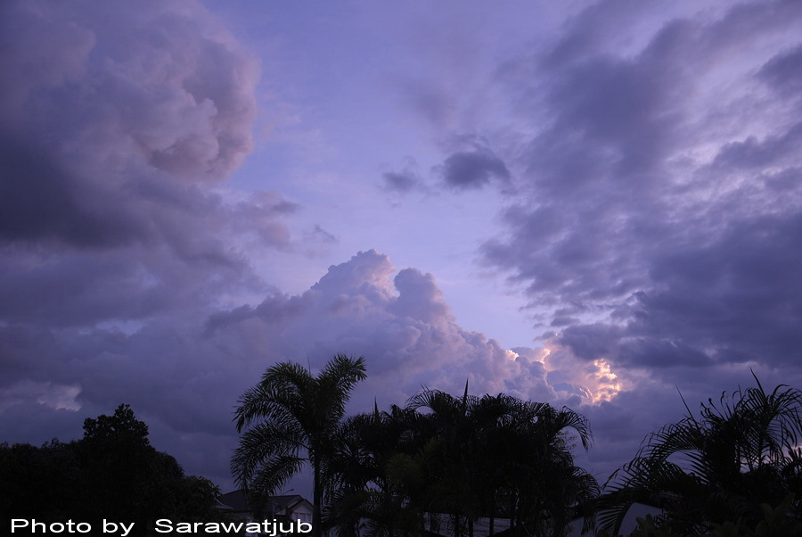 ใกล้ค่ำฝนก็กำลังจะตก  ลาด้วยภาพนี้เลยนะครับ