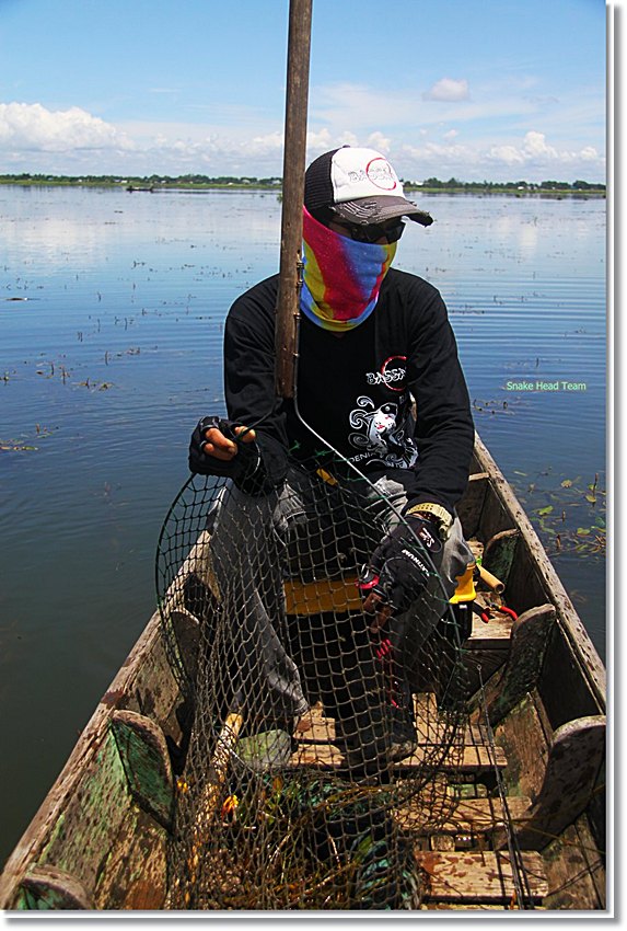                                                                                                เหนื่
