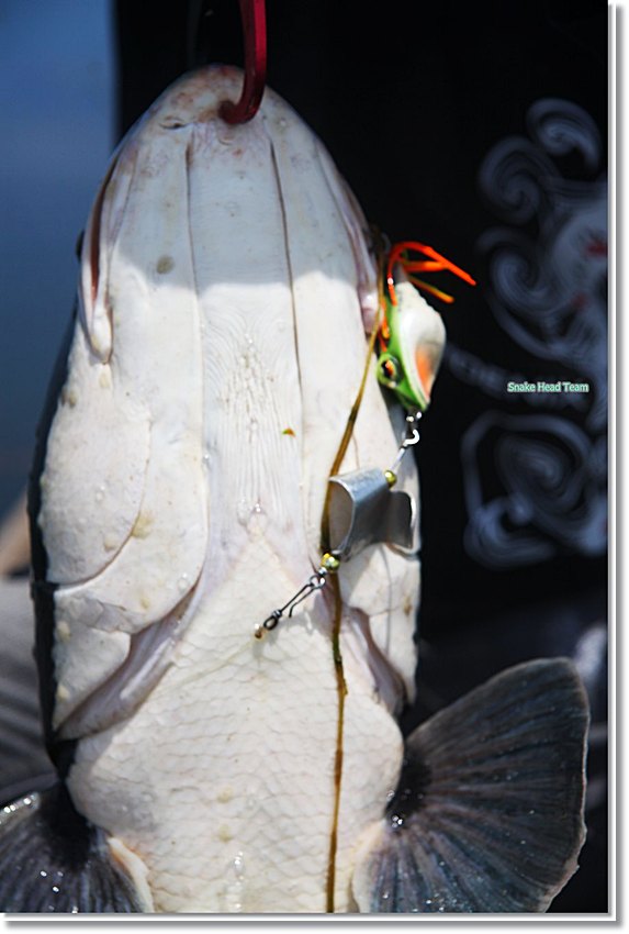  [q]++++++ครับ บึงบอระเพ็ด [/q]

ขอบคุณครับน้าfishingjoke 
