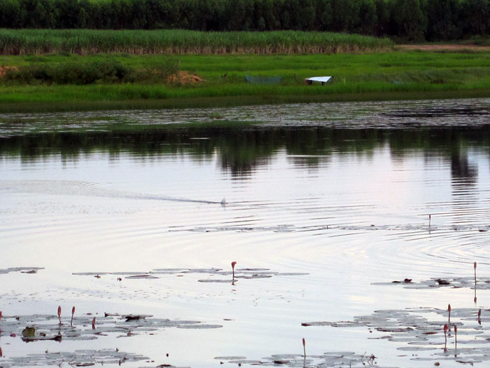 หลังจากเราลุยลงไป ประมาณ 100 เมตร
เซียนแบงค์ ก็จับภาพให้ตลอด เยี่ยมจริงๆ ไม่ยอมลงมาด้วยกันนี่ กล